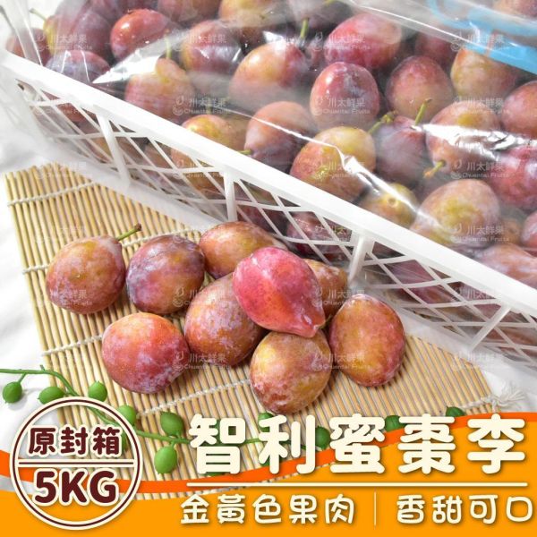 【限時特價】智利-蜜棗李、原封5KG/件(免運) 櫻桃李,李子,甜李,脆李,進口水果,水果,水果禮盒,蜜棗李,蜜李,蜜甜李