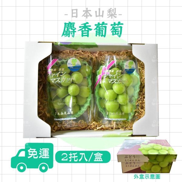 日本山梨縣-麝香葡萄、兩房裝/盒(400g/房±10%)、(免運) 麝香葡萄,麝香葡萄,日本水果,進口水果,水果禮盒,送禮好物,山梨,山梨縣麝香葡萄