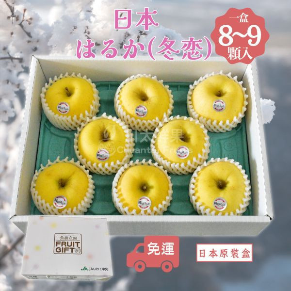 日本岩手縣-はるか冬恋蘋果、日本原裝盒8~9顆入/盒(免運) 日本岩手縣冬恋蘋果,岩手縣冬戀蘋果,冬戀,正宗冬戀