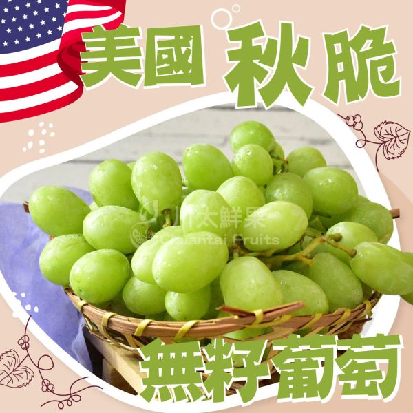 美國-秋脆無籽葡萄-2袋入/盒(免運) 加州葡萄,綠無籽,脆甜,綠寶石葡萄,進口葡萄,進口水果,美國葡萄,水果禮盒,送禮,