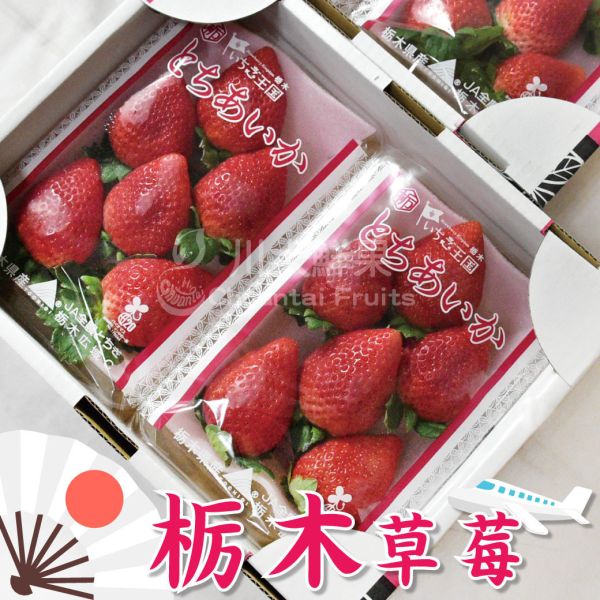日本空運-栃木草莓(免運)少量現貨+預購、日本原裝一盒兩小盤入 天空草莓,栃木,栃木草莓,日本草莓,熊本草莓,草莓,進口水果,水果禮盒,好吃的草莓,空運草莓,日本水果,日本草莓產季,日本常見草莓