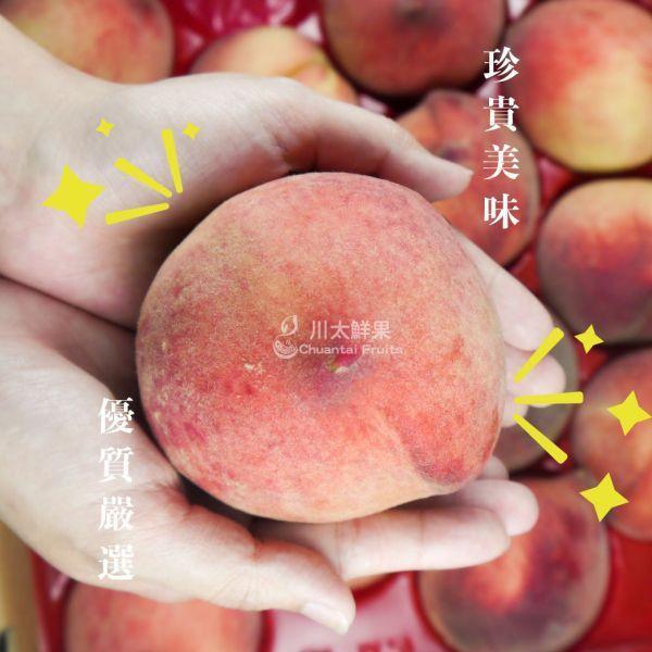 【預購+少量現貨】美國空運-桃仙子水蜜桃、原裝16顆、18顆入/箱(免運) 美國水蜜桃,空運水蜜桃,美國水蜜桃,進口水蜜桃,國外水果