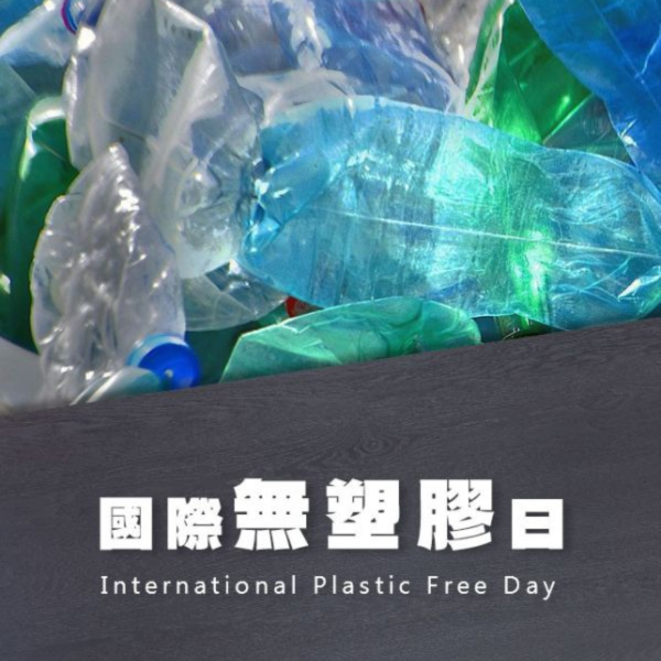 國際無塑膠日｜德屋全天然建材｜減塑行動｜地球環境保護 木皮板,健康綠建材,天然建材,綠建材,天然木皮,塗裝木皮板,減塑,國際無塑膠日,減塑行動,愛護地球,環境保護