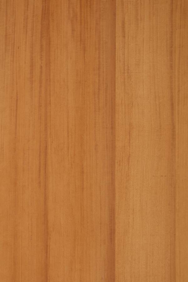 塗裝木皮板-瑤林瓊樹(直紋) 好宅,裝潢,配色,木皮板,塗裝板,木地板,木皮不織布,室內裝潢設計材料,天然綠建材