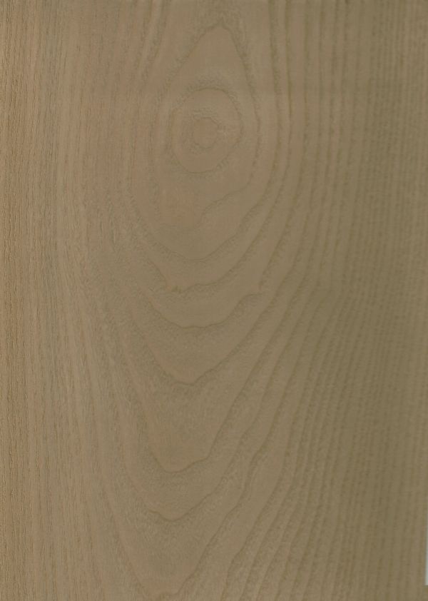 塗裝木皮板-印加帝國(花紋) 木皮板,塗裝板,奶油色裝潢,奶油風,韓式風,美式風,北歐風,塗裝木皮板,木質裝潢,節能減碳,綠色永續