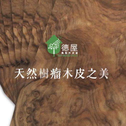 天然樹瘤木皮之美｜德屋天然建材 木皮板,健康綠建材,天然建材,綠建材,天然木皮,裝潢建材,無毒建材,樹瘤,樹瘤木皮,頂級木皮,頂級建材,樹瘤木皮板