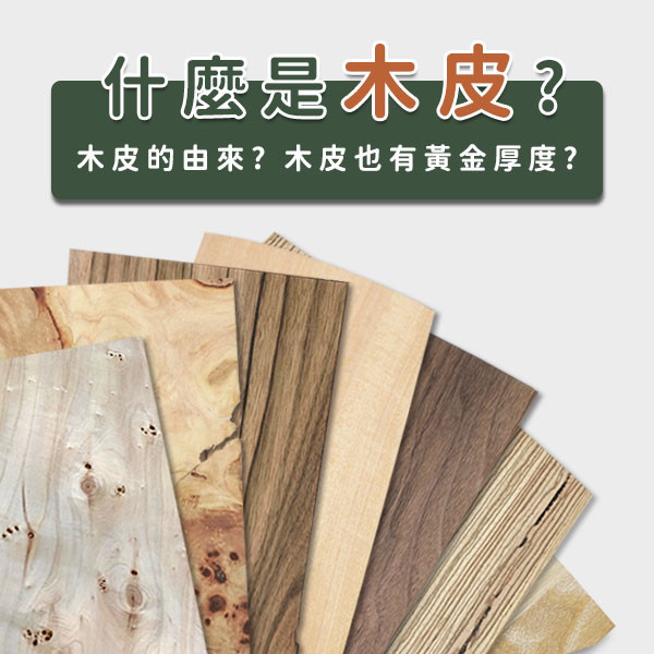 什麼是木皮?｜天然木皮小知識｜德屋天然建材 德屋建材,木皮板,木皮黃金厚度,天然木皮,天然木皮板,實木皮,實木皮板