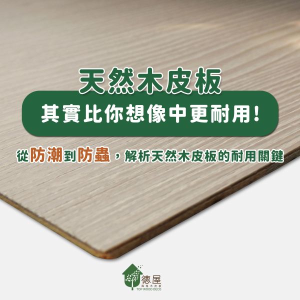 天然木皮板，其實比你想像的更耐用！｜從防潮到防蟲，全面解析天然木皮板的耐用關鍵｜德屋天然建材 木皮板,木地板,健康綠建材,天然建材,綠建材,海島型木地板,高CP建材,永續建材,耐用建材.建材推薦品牌
