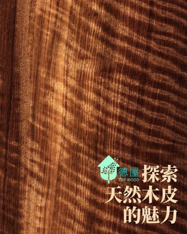 實木皮板-華麗百合(水波紋) 木皮板,塗裝板,木地板,木皮不織布,天然綠建材,胡桃木,胡桃木裝潢,胡桃木案例,胡桃木皮,胡桃木板,深色裝潢,水波紋