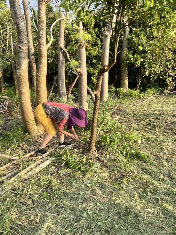 木頭人的手動充電｜木箔®原創 木皮,天然木皮,裝潢建材,天然建材,綠色永續,節能減碳,木箔原創,農耕