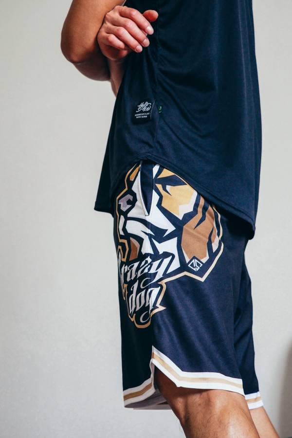 瘋狗你好帥球褲(大圖) Jersey、衣服、球衣、籃球衣、雙面穿球衣、服飾、穿搭、潮流、籃球、迪艾斯、設計、台灣