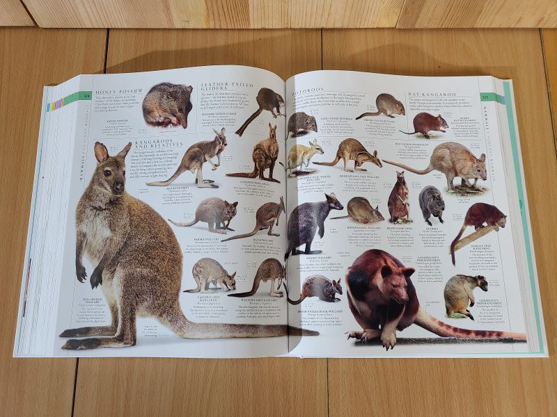 DK The Natural History Book New Edition ( 自然史大百科 增修版) 