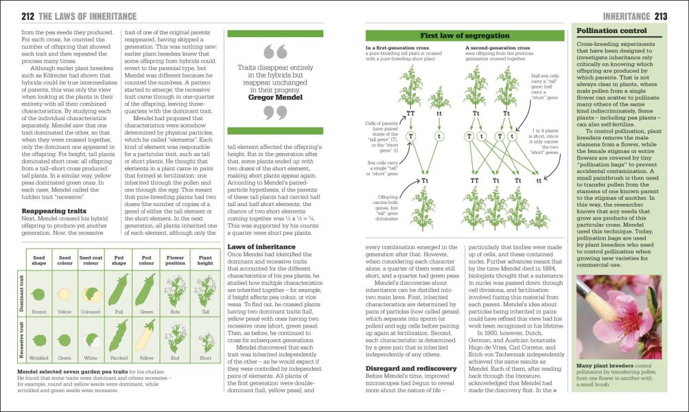 DK The Biology Book: Big Ideas Simply Explained(大知識輕鬆讀：生物學) 