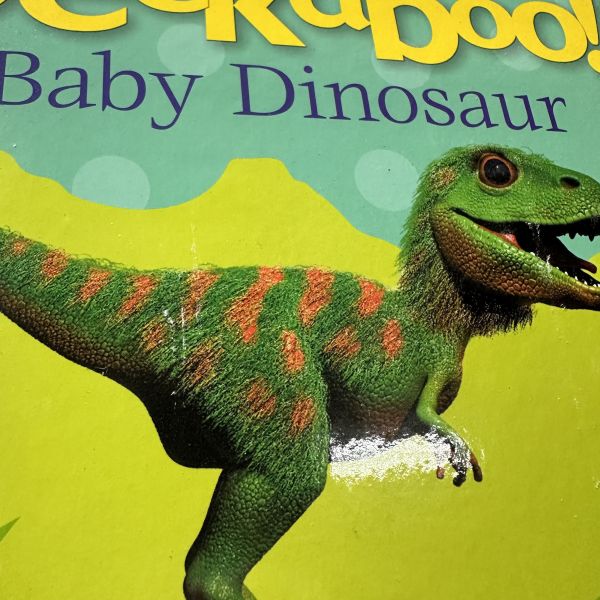 (微恙)DK Pop-Up Peekaboo! Baby Dinosaur (躲貓貓大翻頁立體書：恐龍寶寶) 