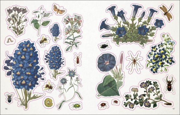 DK The Botanist's Sticker Anthology(古典畫風貼紙精選輯：植物篇) 