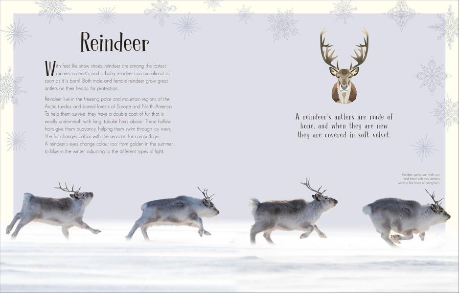 DK An Anthology of Christmas(聖誕節百科) 