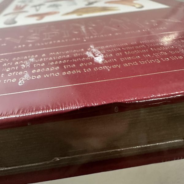 (微恙)Fungal Inspiration: Art and design inspired by wild nature(蕈類插畫藝術：從大自然擷取靈感) 