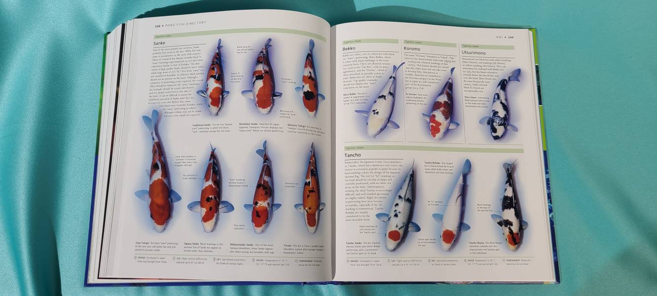 DK Encyclopedia of Aquarium and Pond Fish(觀賞魚百科) 