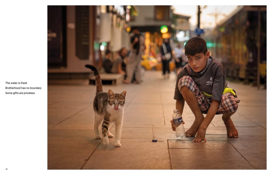 City Cats of Istanbul(貓咪市民：伊斯坦堡的街頭靈魂) 