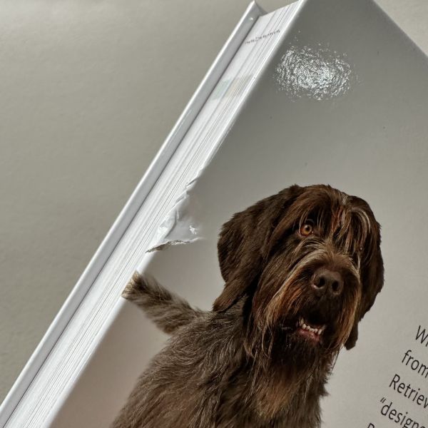 (骨折)DK The Complete Dog Breed Book(愛犬品種圖鑑 ) 