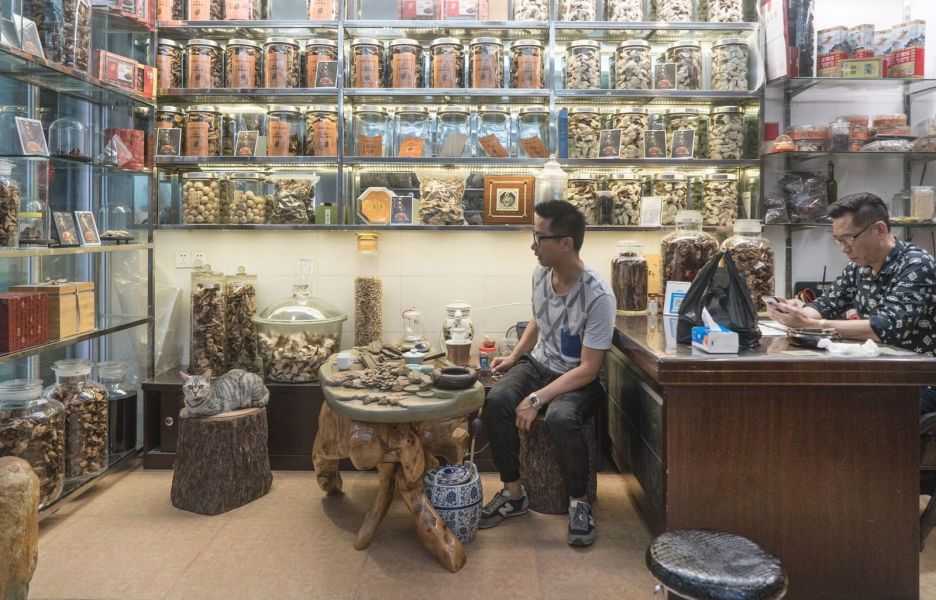 Shop Cats of China(中國街頭的店鋪貓：老店裡的守護者) 