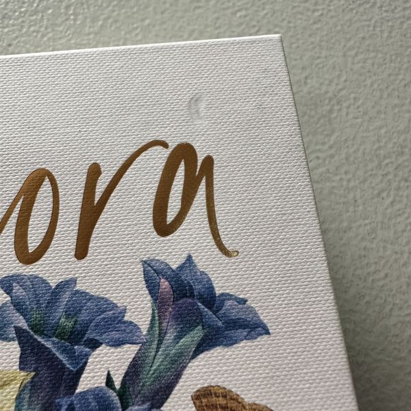 (微恙)Biblioflora: A Celebration of Floral Beauty in Botanical Art(書香花卉：禮讚植物插畫藝術) 