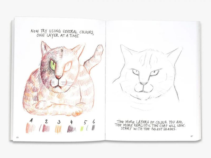 I Can Draw Cats(貓咪繪畫指南) 