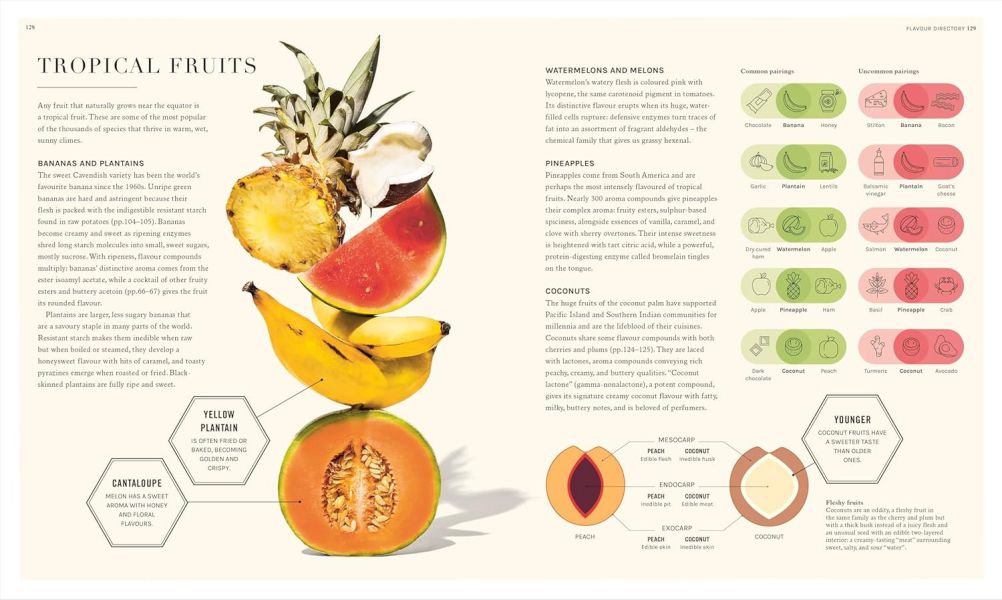 DK The Science of Flavour(食物風味的科學) 