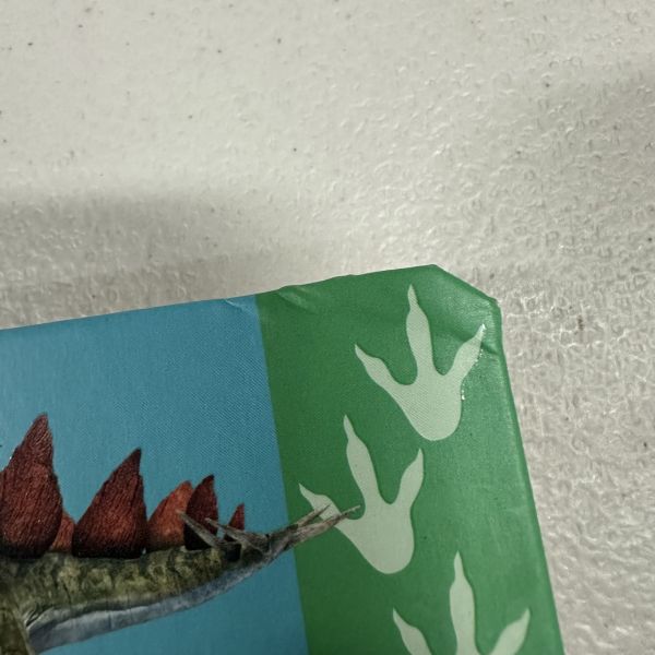 (微恙)DK 100 First Dinosaurs Words(啟蒙100系列：100種恐龍) 