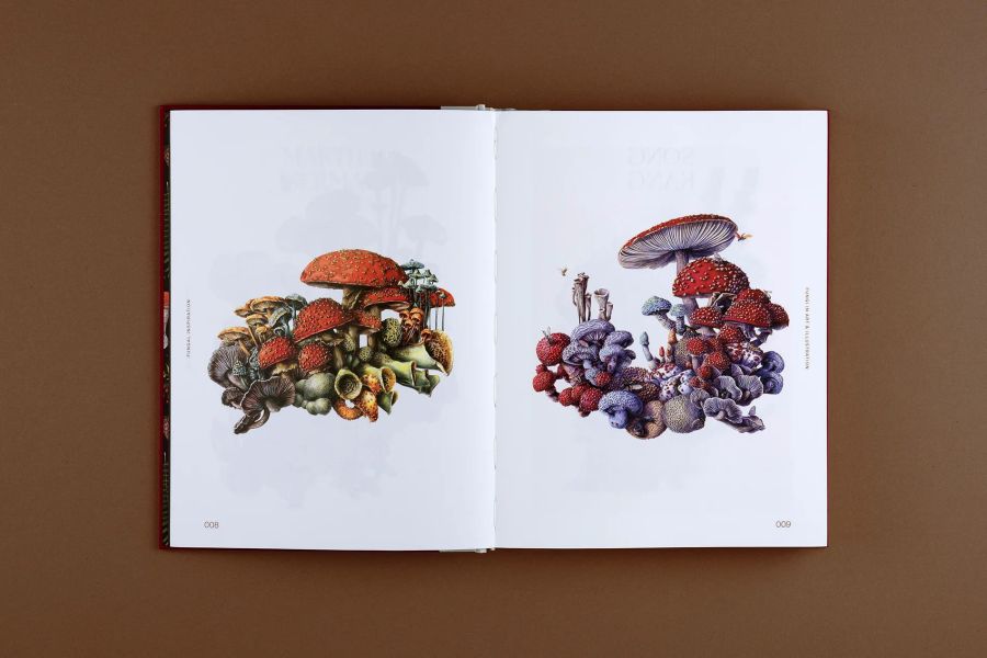 Fungal Inspiration: Art and design inspired by wild nature(蕈類插畫藝術：從大自然擷取靈感) 