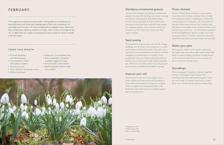 DK How to Design a Garden(設計你的理想花園) 