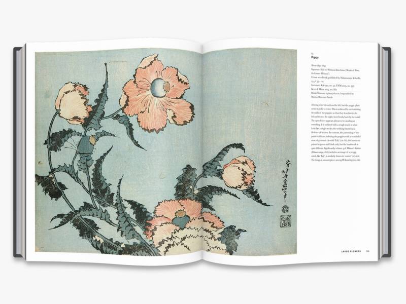 Hokusai (British Museum) beyond the Great Wave(葛飾北齋大英博物館大展紀念畫冊：大浪之上) 