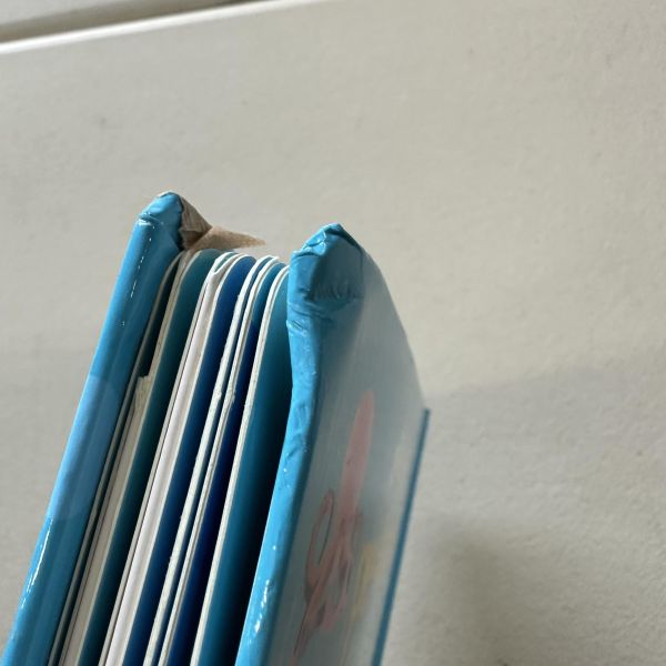 (微恙)DK Pop-Up Peekaboo! Under the Sea (躲貓貓大翻頁立體書：海底世界) 
