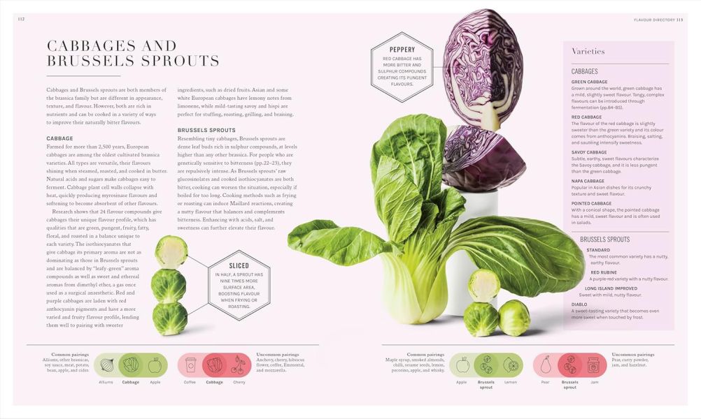 DK The Science of Flavour(食物風味的科學) 