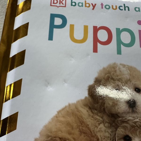 (微恙)DK Baby Touch and Feel Puppies (寶寶觸摸書：小狗 ) 