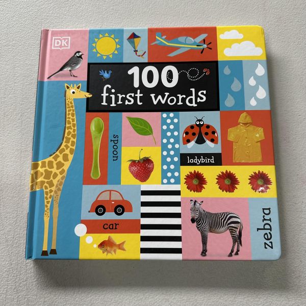 (微恙)DK 100 First Words (100 First Words啟蒙厚紙板書：100個基本字彚) 