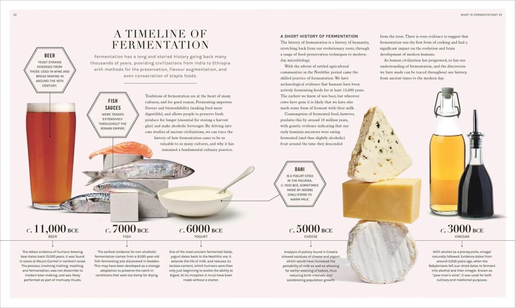 DK The Science of Fermentation(發酵的科學) 