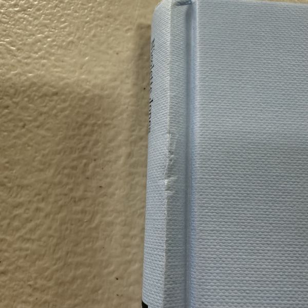 (微恙)Raymond Briggs (The Illustrators)(雷蒙‧布力格：The Illustrators系列) 