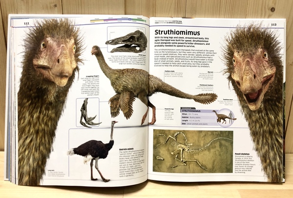 DK Knowledge Encyclopedia Dinosaur! New Edition (恐龍大百科 增修版) 