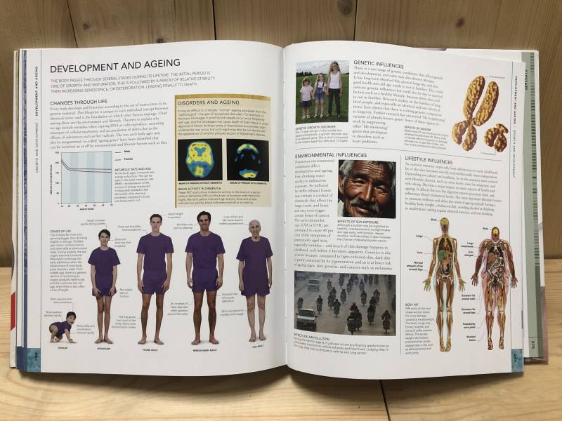DK The Human Body Book (人體大百科 增修板) 