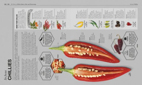 DK The Science of Cooking(烹飪的科學) 