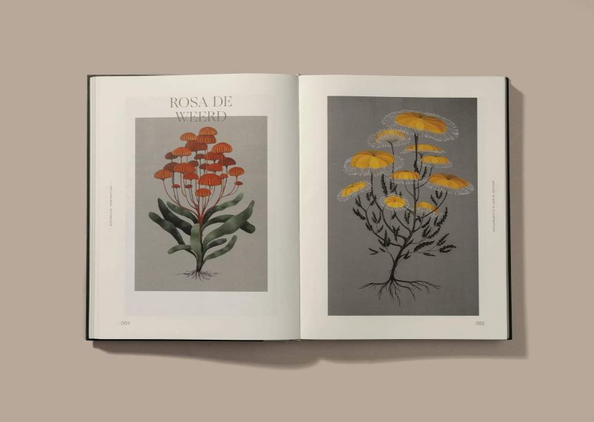 Botanical Inspiration: Nature in Art and Illustration (藝術作品中的植物) 