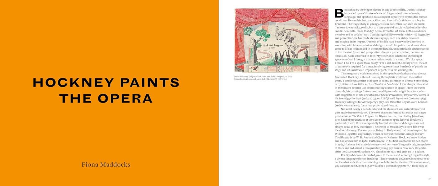 David Hockney: The book that accompanies the David Hockney 25 exhibition(大霍衛‧克尼25回顧展) 