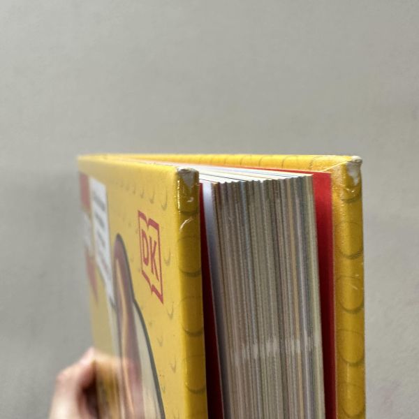 (微恙)DK The Big Book of LEGO Fact(樂高大小事) 