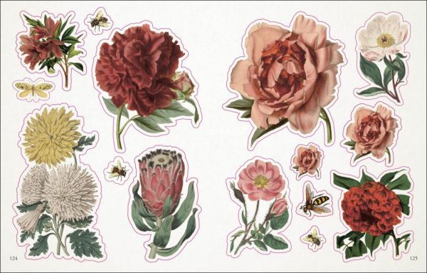 DK The Botanist's Sticker Anthology(古典畫風貼紙精選輯：植物篇) 