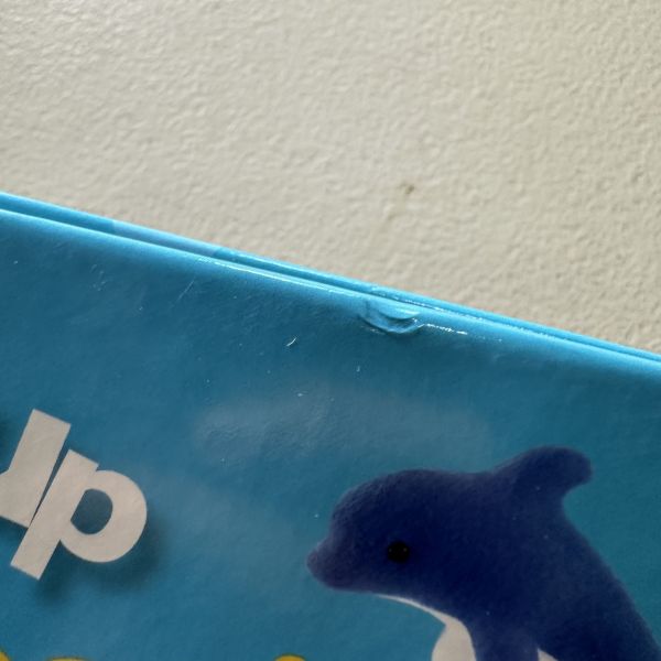 (微恙)DK Pop-Up Peekaboo! Under the Sea (躲貓貓大翻頁立體書：海底世界) 