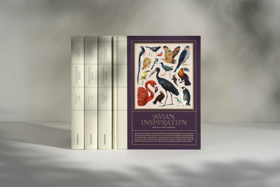 Avian Inspiration: Art and Design Inspired by Birds(鳥類插畫與藝術) 