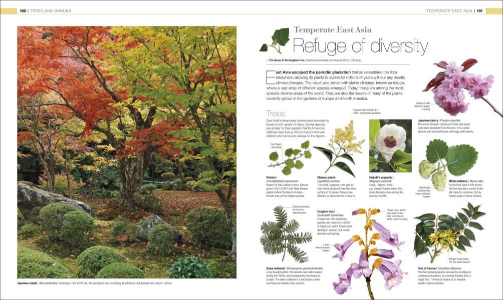 DK Plants and Fungi The Definitive Visual Guide(植物與真菌大百科) 