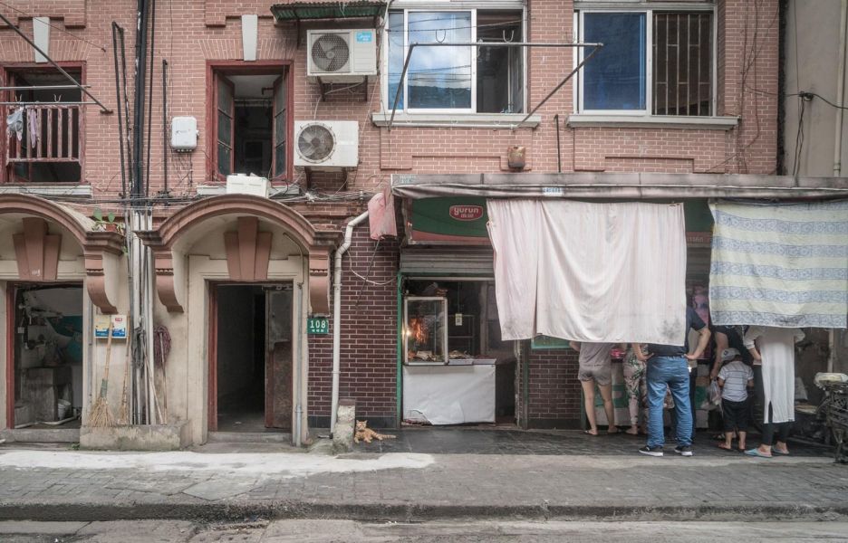 Shop Cats of China(中國街頭的店鋪貓：老店裡的守護者) 
