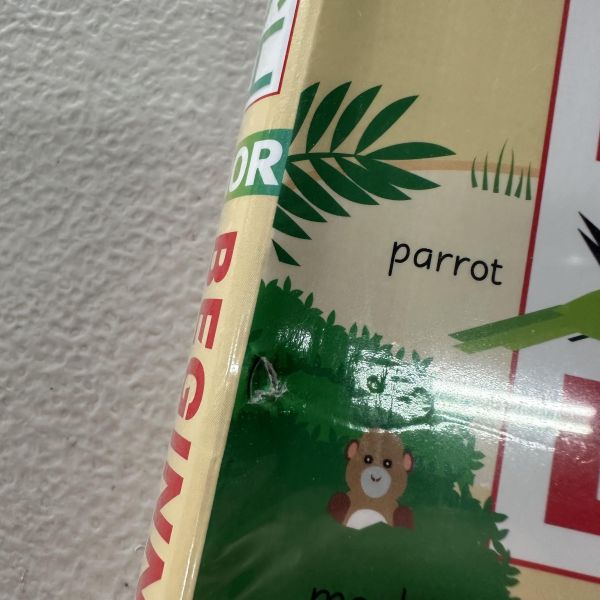 (微恙)DK 人人學英語兒童版：初階課程(DK English for Everyone Junior: Beginner’s Course) 